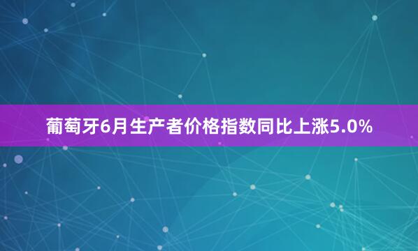 葡萄牙6月生产者价格指数同比上涨5.0%