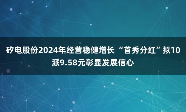 矽电股份2024年经营稳健增长 “首秀分红”拟10派9.58元彰显发展信心