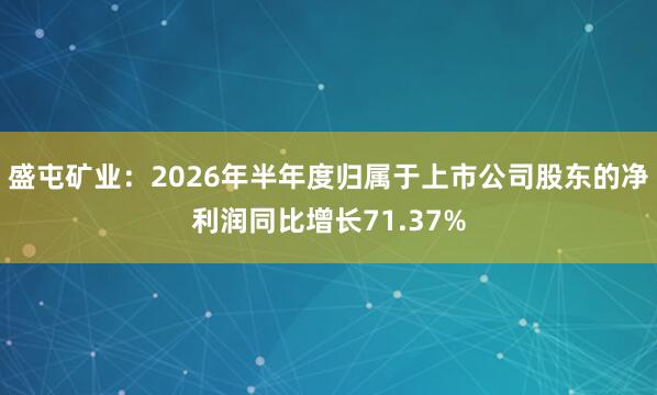 盛屯矿业：2026年半年度归属于上市公司股东的净利润同比增长71.37%