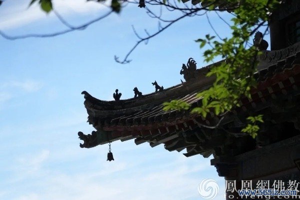 图片来源:网佛教文化 摄影:十愿