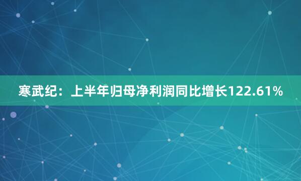 寒武纪：上半年归母净利润同比增长122.61%