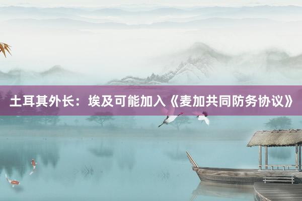 土耳其外长：埃及可能加入《麦加共同防务协议》