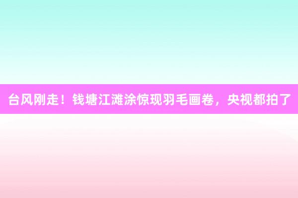 台风刚走！钱塘江滩涂惊现羽毛画卷，央视都拍了