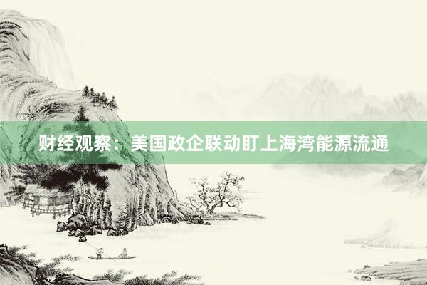 财经观察：美国政企联动盯上海湾能源流通