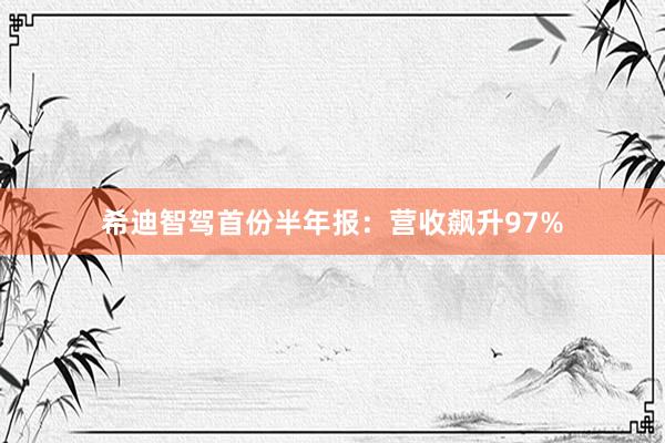 希迪智驾首份半年报：营收飙升97%