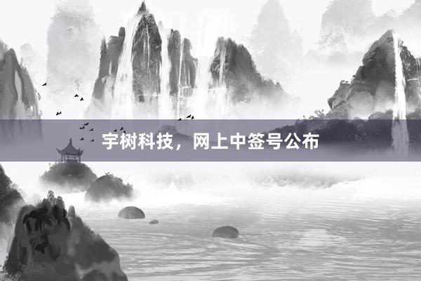 宇树科技，网上中签号公布
