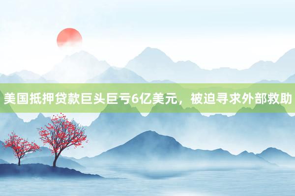 美国抵押贷款巨头巨亏6亿美元，被迫寻求外部救助