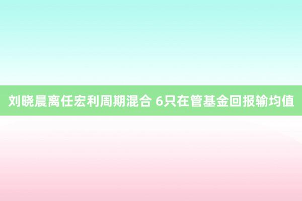 刘晓晨离任宏利周期混合 6只在管基金回报输均值