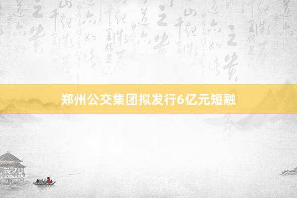 郑州公交集团拟发行6亿元短融