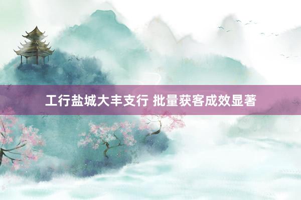 工行盐城大丰支行 批量获客成效显著