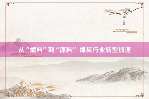 从“燃料”到“原料” 煤炭行业转型加速