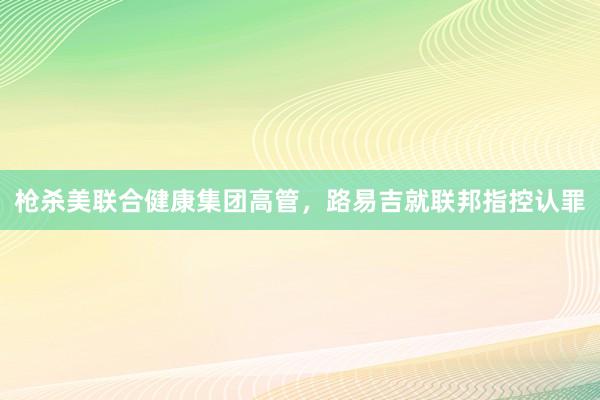 枪杀美联合健康集团高管，路易吉就联邦指控认罪