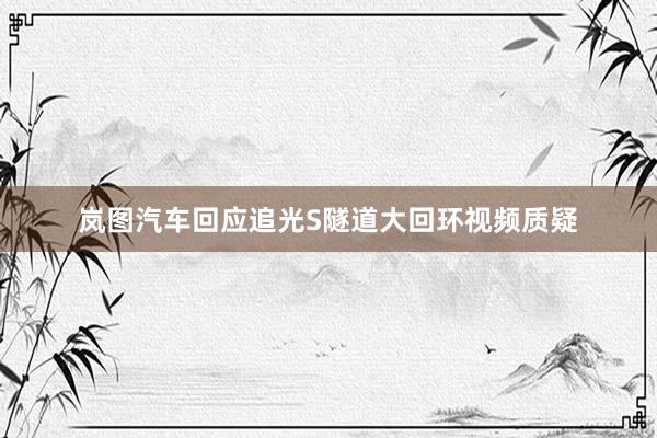 岚图汽车回应追光S隧道大回环视频质疑