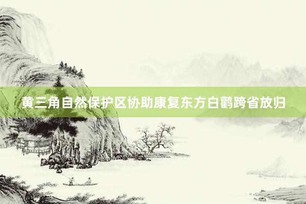 黄三角自然保护区协助康复东方白鹳跨省放归