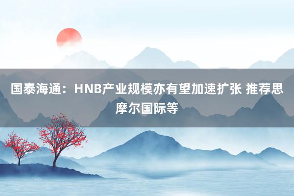 国泰海通：HNB产业规模亦有望加速扩张 推荐思摩尔国际等