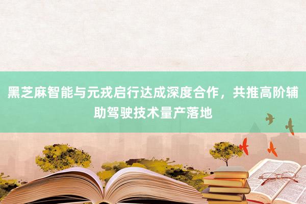 黑芝麻智能与元戎启行达成深度合作，共推高阶辅助驾驶技术量产落地