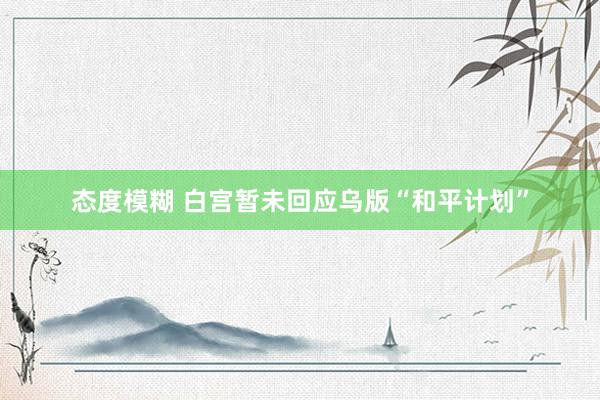 态度模糊 白宫暂未回应乌版“和平计划”