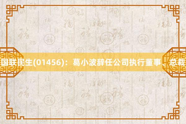 国联民生(01456)：葛小波辞任公司执行董事、总裁