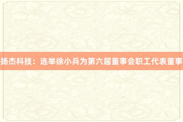 扬杰科技：选举徐小兵为第六届董事会职工代表董事