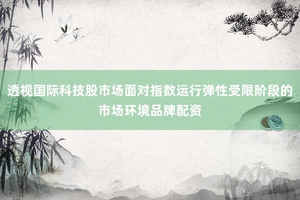 透视国际科技股市场面对指数运行弹性受限阶段的市场环境品牌配资