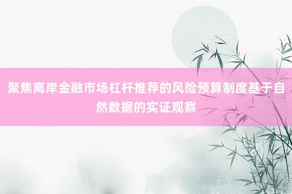聚焦离岸金融市场杠杆推荐的风险预算制度基于自然数据的实证观察