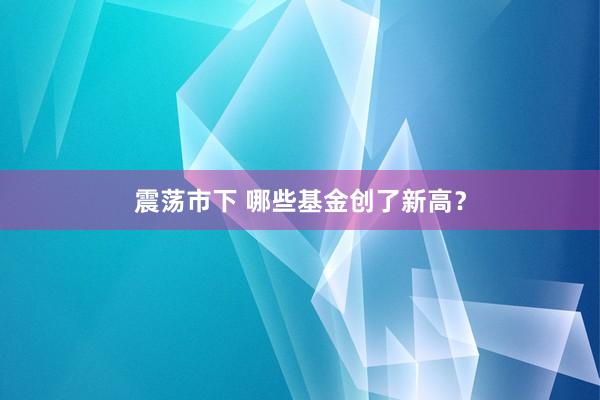震荡市下 哪些基金创了新高？