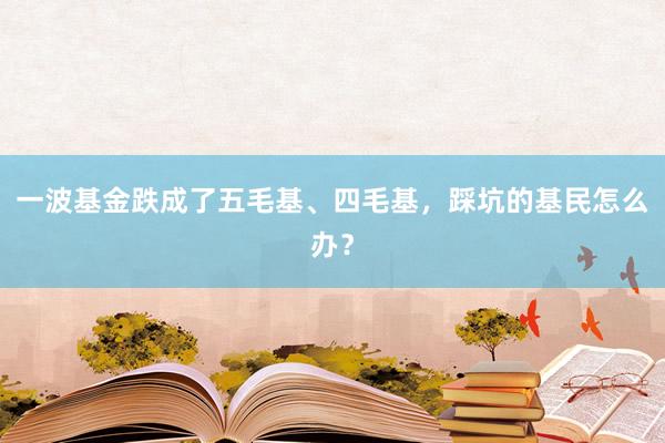 一波基金跌成了五毛基、四毛基，踩坑的基民怎么办？