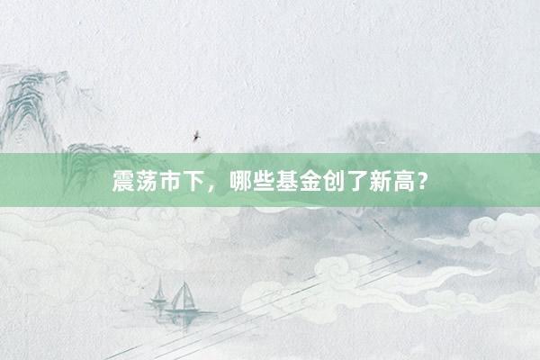 震荡市下，哪些基金创了新高？