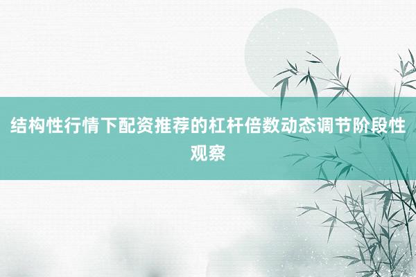 结构性行情下配资推荐的杠杆倍数动态调节阶段性观察
