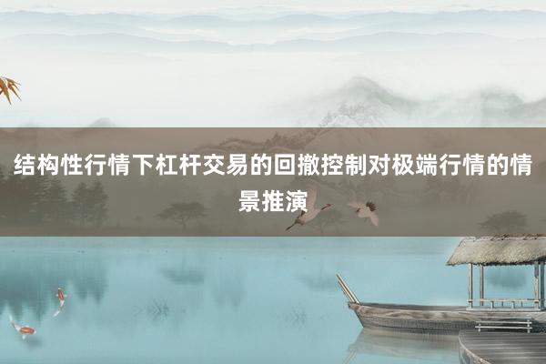 结构性行情下杠杆交易的回撤控制对极端行情的情景推演