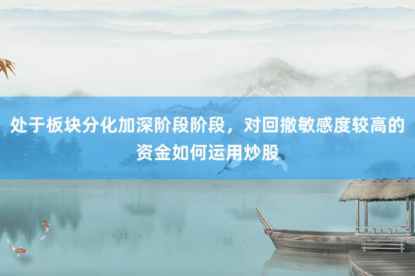 处于板块分化加深阶段阶段，对回撤敏感度较高的资金如何运用炒股