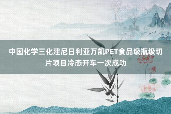 中国化学三化建尼日利亚万凯PET食品级瓶级切片项目冷态开车一次成功
