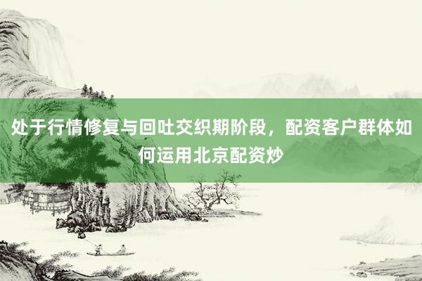 处于行情修复与回吐交织期阶段，配资客户群体如何运用北京配资炒