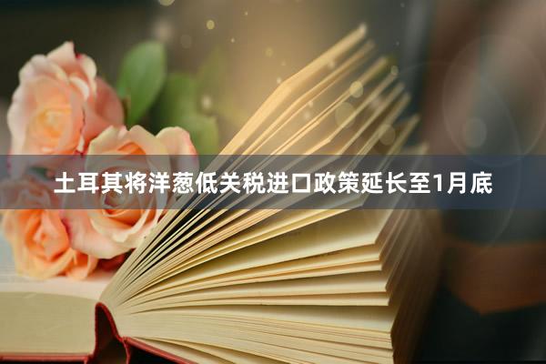 土耳其将洋葱低关税进口政策延长至1月底