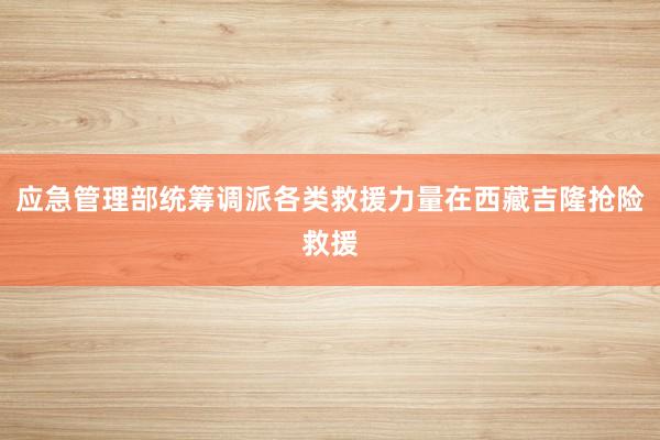 应急管理部统筹调派各类救援力量在西藏吉隆抢险救援