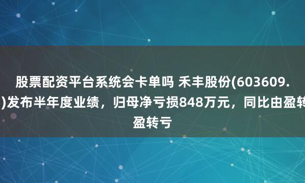 股票配资平台系统会卡单吗 禾丰股份(603609.SH)发布半年度业绩，归母净亏损848万元，同比由盈转亏
