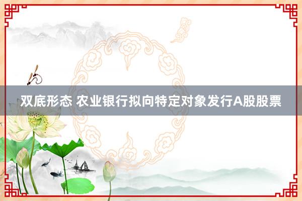 双底形态 农业银行拟向特定对象发行A股股票
