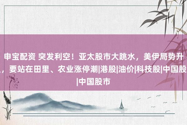 申宝配资 突发利空！亚太股市大跳水，美伊局势升温，要站在田里、农业涨停潮|港股|油价|科技股|中国股市