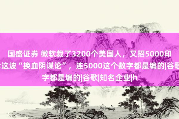 国盛证券 微软裁了3200个美国人，又招5000印度人？Xbox这波“换血阴谋论”，连5000这个数字都是编的|谷歌|知名企业|h