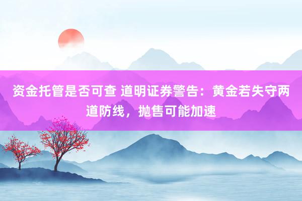 资金托管是否可查 道明证券警告：黄金若失守两道防线，抛售可能加速