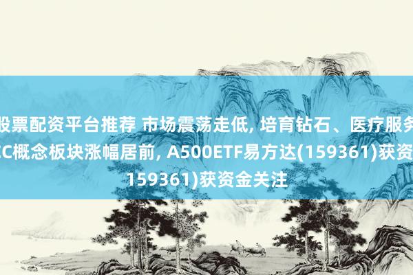 股票配资平台推荐 市场震荡走低, 培育钻石、医疗服务、MLCC概念板块涨幅居前, A500ETF易方达(159361)获资金关注